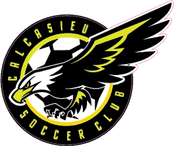 TCS Stickers Soccer Uniforms Calcasieu Sc - Third Coast Soccer