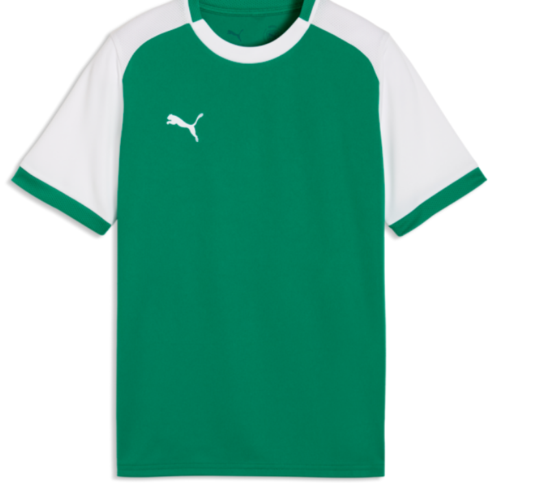 Puma Youth TEAMLIGA 26 Matchday Jersey