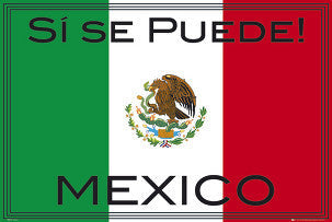 PRS Mexico World Cup Poster Posters 24" X 36" - Third Coast Soccer