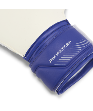 PUMA Ultra Match Protect RC Goalkeeper Glove Gloves - Third Coast Soccer