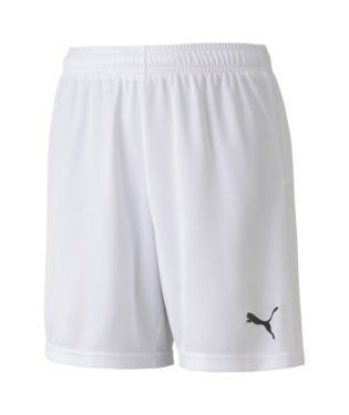 Puma Youth Team Goal 23 Shorts Shorts Puma White Youth Small - Third Coast Soccer