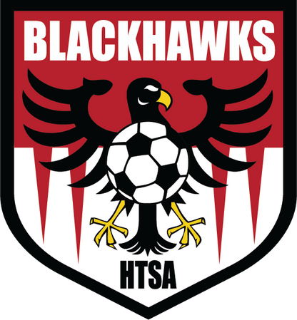 TCS Stickers Soccer Uniforms   - Third Coast Soccer