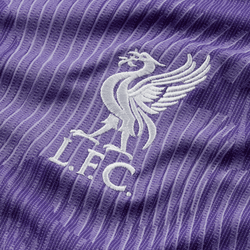 Nike Youth Liverpool FC Third Jersey 23/24 Club Replica   - Third Coast Soccer