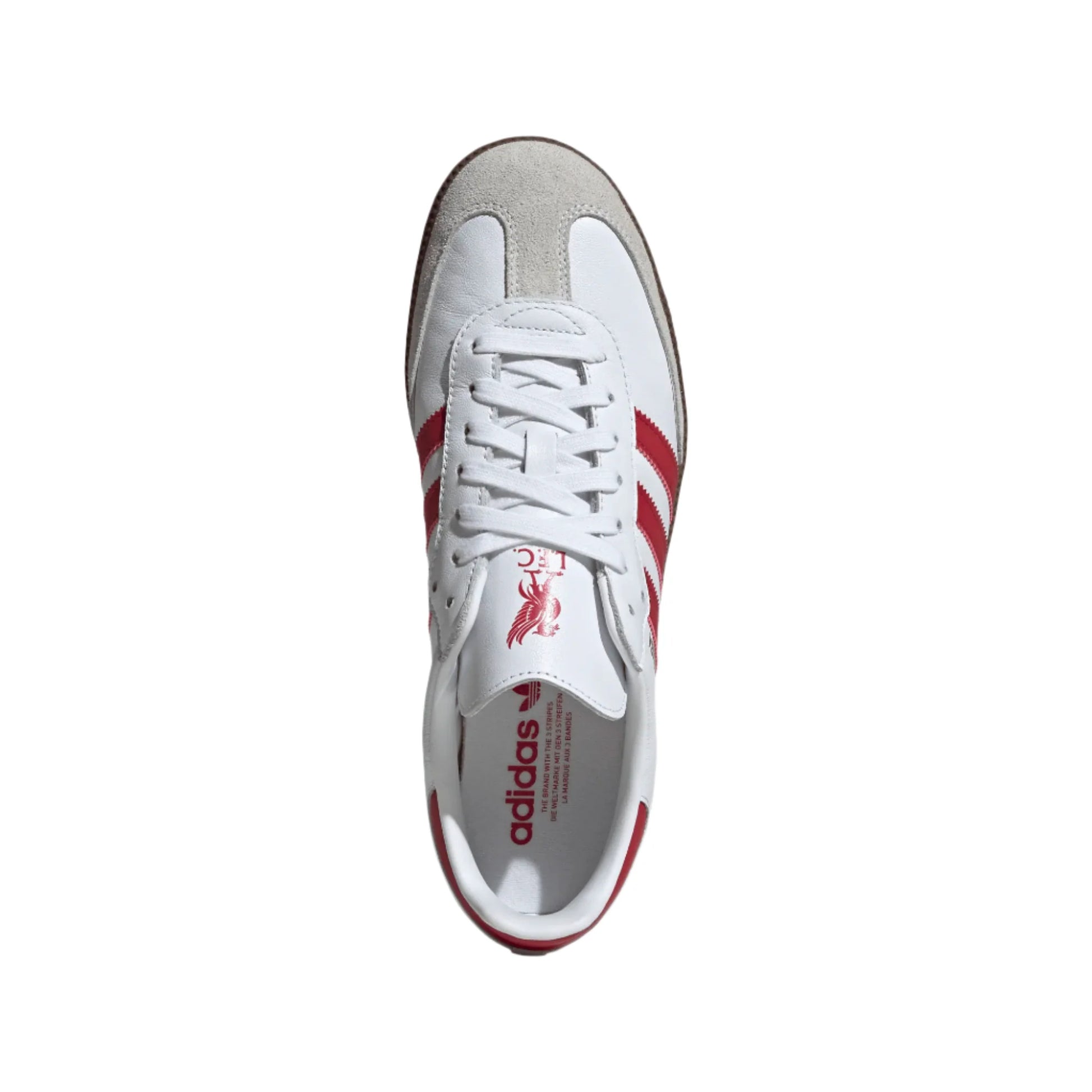 adidas Liverpool FC Samba Men's Footwear - Third Coast Soccer