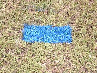 Prime Stripe Royal Paint Field Equipment Royal  - Third Coast Soccer