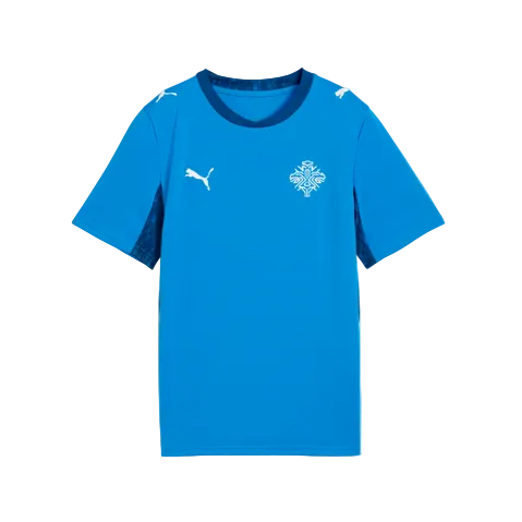 PUMA Youth Iceland Home Jersey 2026 International Replica Blue Youth Small - Third Coast Soccer