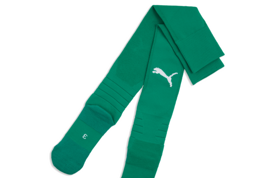 Puma TeamLiga26 Sock - Green