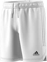adidas Condivo 22 MD Short