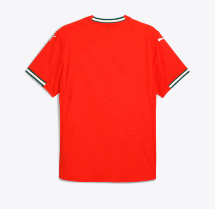 PUMA Portugal Authentic Home Jersey 2025 International Replica Closeout - Third Coast Soccer
