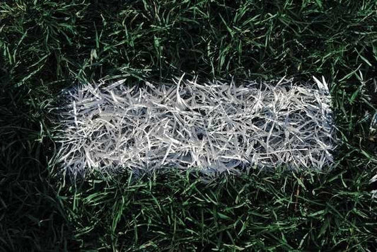 Prime Stripe Athletic Paint - White Field Equipment White  - Third Coast Soccer